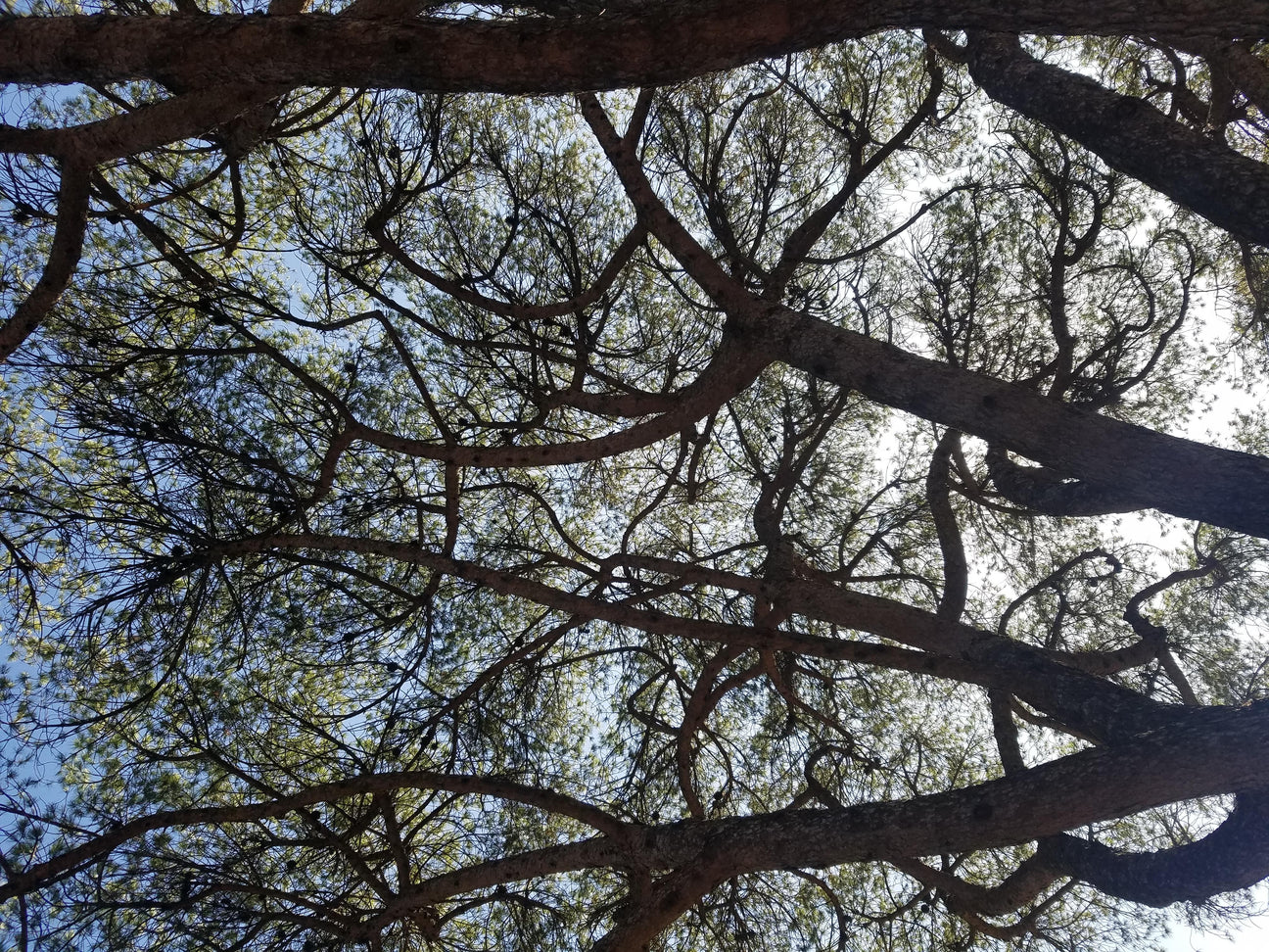 The Sound Mind Collective: music, mood and the science behind sound