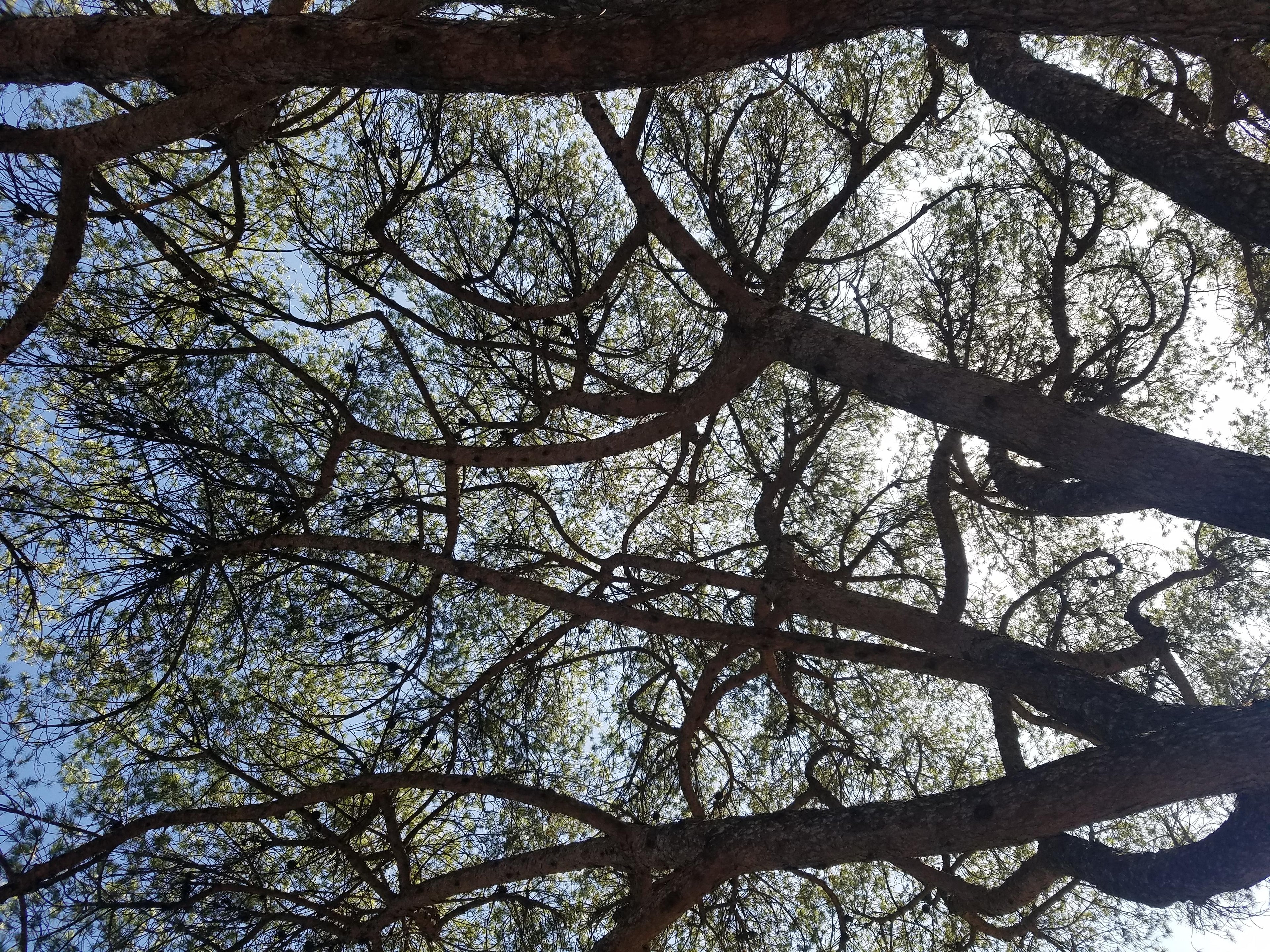 The Sound Mind Collective: music, mood and the science behind sound