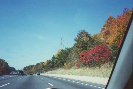Our autumn playlist