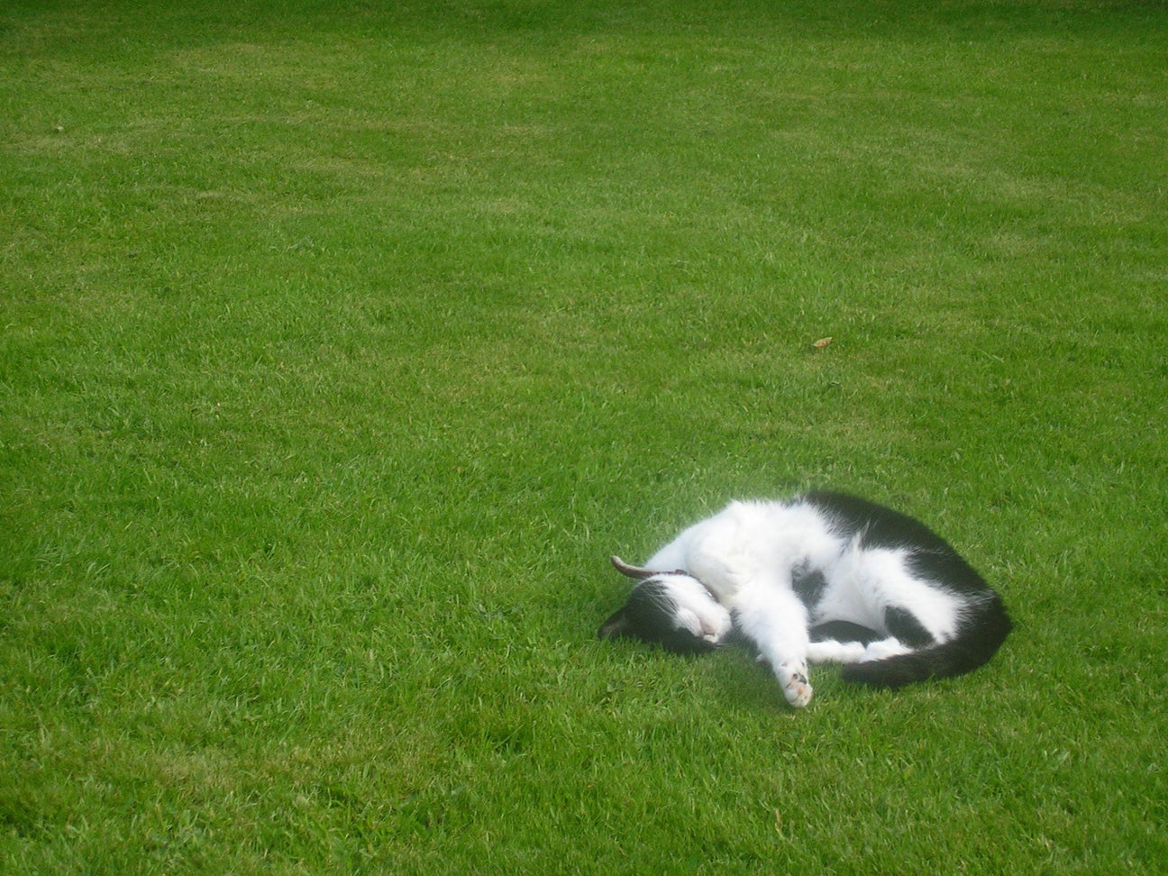 Why being lazy will make you a better musician