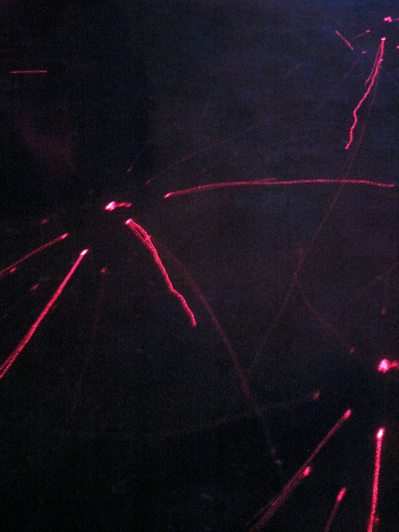Disco Neurotico: Building a club night for the neurodivergent community