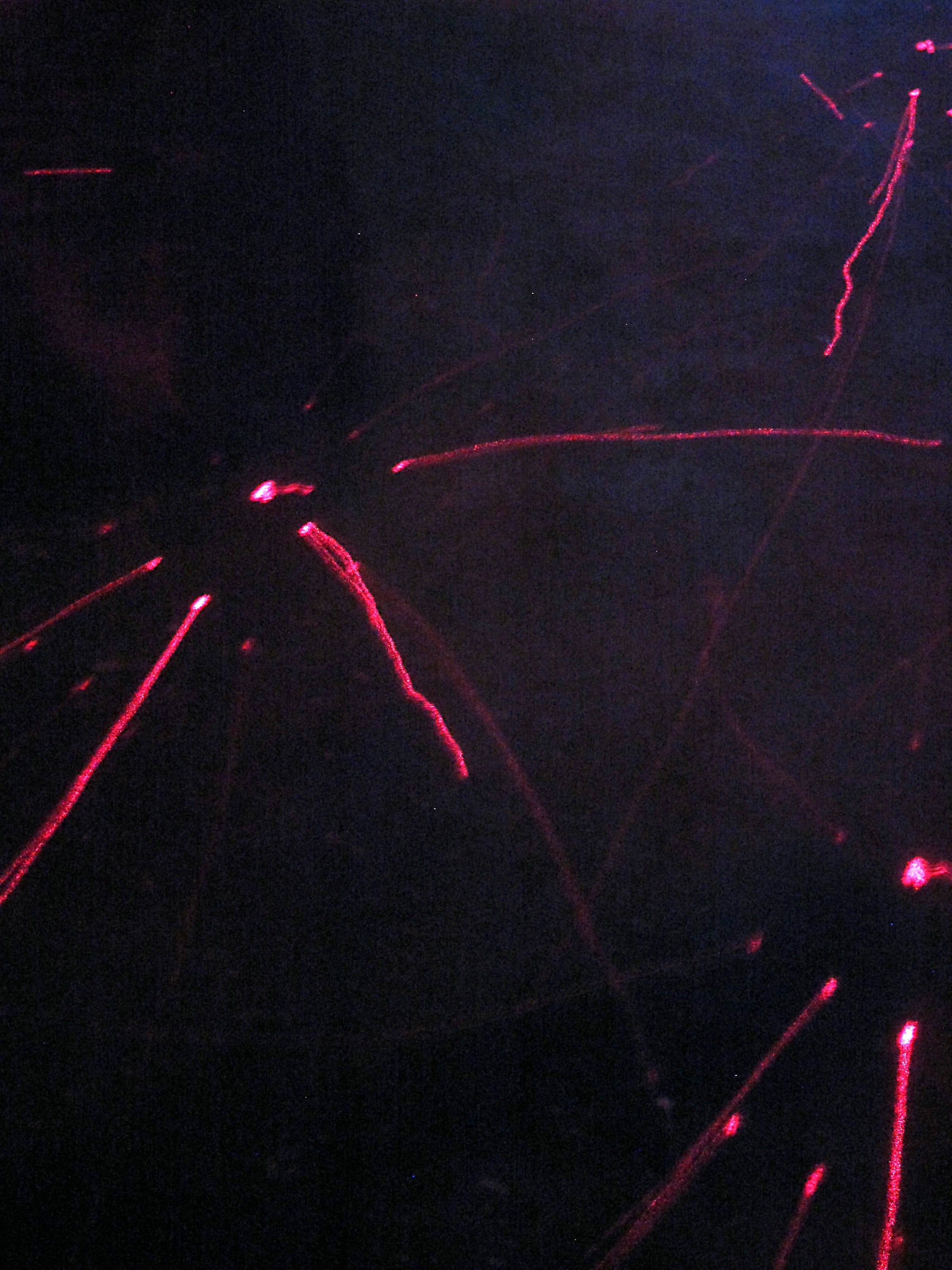 Disco Neurotico: Building a club night for the neurodivergent community